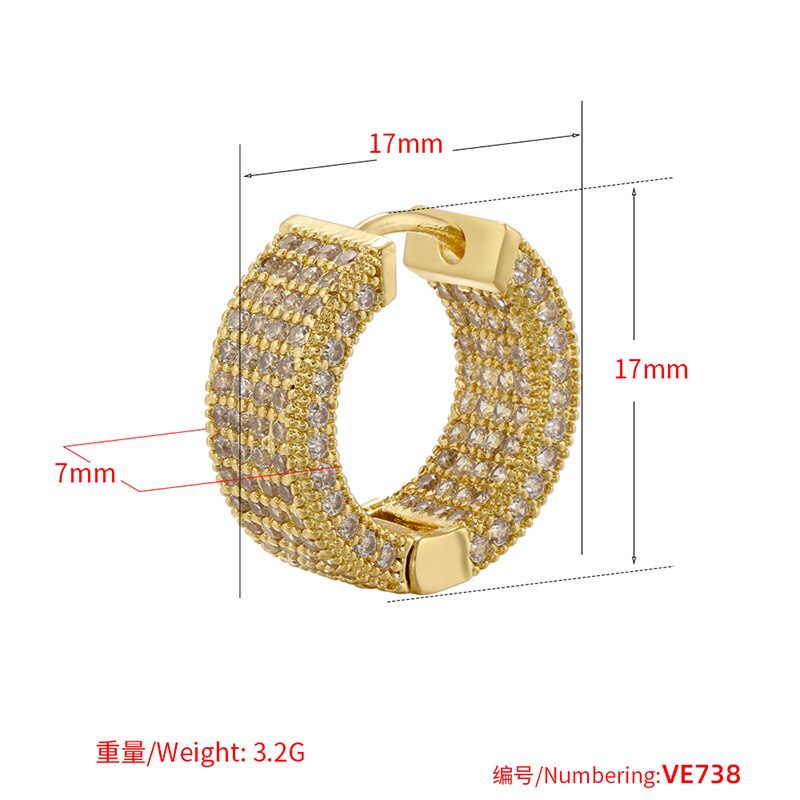 ZIRCONIA ELEGANT HOOP EARRINGS