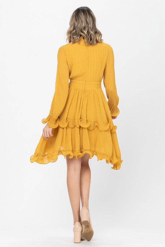 RUFFLES LONG SLEEVE DRESSY DRESS