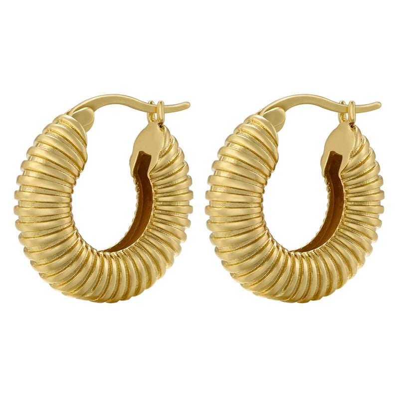 CHUNKY HOOP EARRINGS